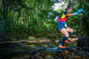 BIB: 
                            <button type="button" onclick="openModal(21764776)" class="btn btn-primary btn-sm float-right btn-popup" data-toggle="modal" data-target=".modal-high-quality">
                        <i class="fas fa-shopping-cart"></i> Add to Cart
                    </button>
                                            <button type="button" onclick="isThisMe(21764776, true)" class="btn btn-success btn-sm float-right btn-popup btn-isme hidden" data-toggle="tooltip" data-placement="bottom" title="นี่คือรูปของคุณใช่ไหม คลิกที่นี่เพื่อเอาเข้าอัลบั้ม">
                        <i class="fas fa-plus"></i> Add to album
                    </button>
                    <button type="button" onclick="isThisMe(21764776, false)" class="btn btn-warning btn-sm float-right btn-popup btn-isnotme hidden">
                        <i class="fas fa-ban"></i> Remove from album
                    </button>